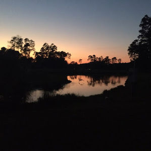 Meet your Posher, Ava